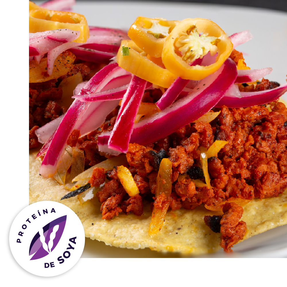 Cochinita Pibil - Plant based