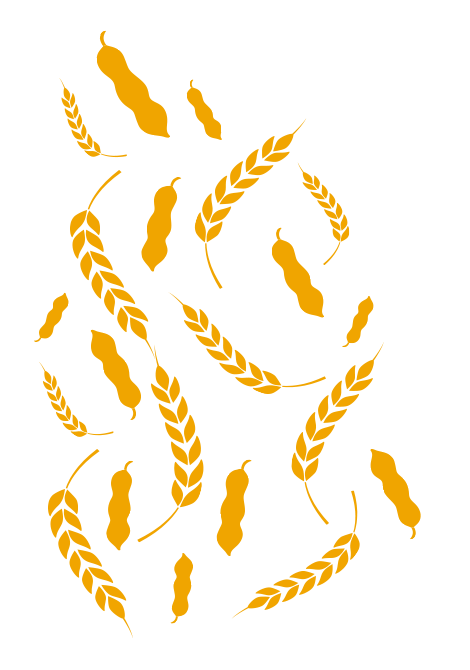 https://www.benji.com.mx/wp-content/uploads/2024/02/floating_image_02.png