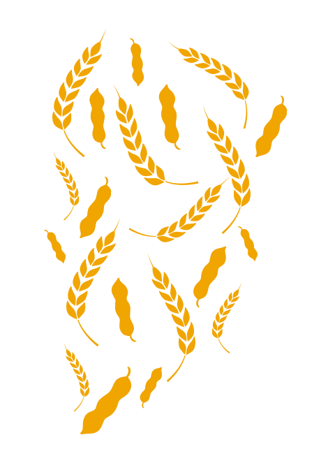 https://www.benji.com.mx/wp-content/uploads/2024/02/floating_image_03.png